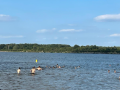 HB-Sommer-2023-82
