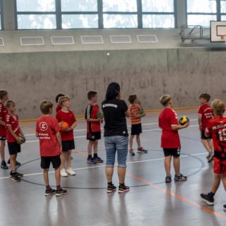 Handballer-in-Halle