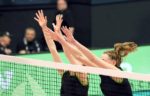 volleyball-4110934_640